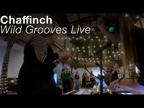 Chaffinch live set