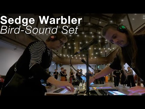 Sedge Warbler live set
