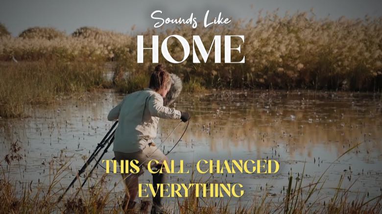 Sounds Like Home: Wherever Birds Fly